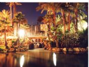 El Palmeral de noche. Alicante, Comunidad Valenciana